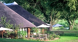 Mala Mala Main Lodge